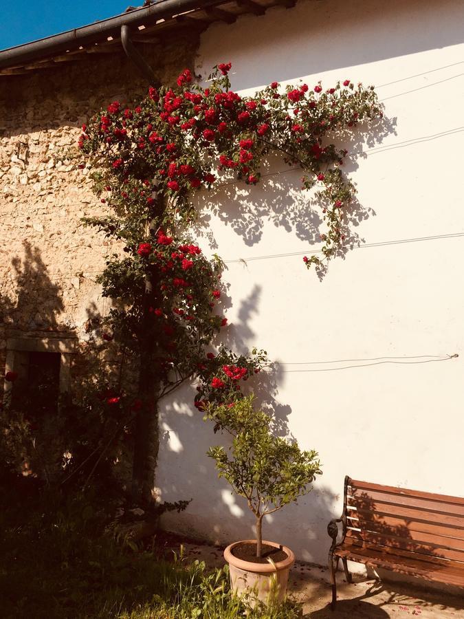 Relais Villa Gozzi B&B Arcugnano Exterior photo
